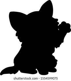 Chihuahua puppy front shake silhouette