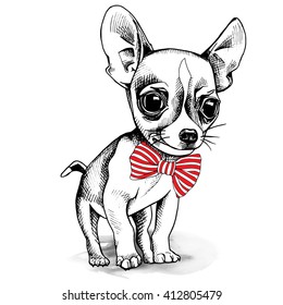 Chihuahua puppy portrait in a tie. Vector illustration.