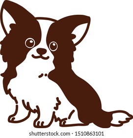 Chihuahua puppy sitting and smiling
