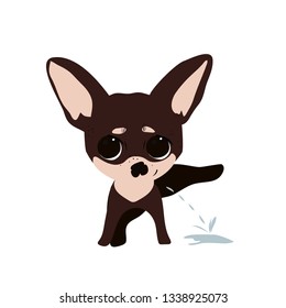 
Chihuahua Puppy small dog. Cute cartoon face. Puppy on a white background