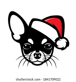 Chihuahua with santa claus hat isolated vector illustration