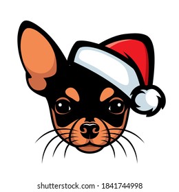 Chihuahua with santa claus hat isolated vector illustration