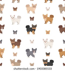 Chihuahua seamless pattern. Dog healthy silhouette and different poses background.  Vector illustration