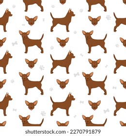 Chihuahua kurzhaariges, nahtloses Muster. Vektorgrafik