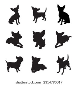 chihuahua silhouette set collection isolated black on white background vector illustration