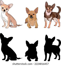 Chihuahua silhouettes. Laying, sitting toy dog. Cute walking dogs characters in various poses, design for print, cute cartoon vector set, in different poses. One color design. Small dog.