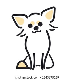 Chihuahua en una pose sentada