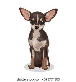 Chihuahua Cartoon High Res Stock Images Shutterstock