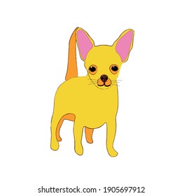 Chihuahua vector color art dog. Yellow logo and icon