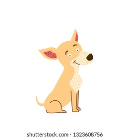 chihuahua vector illustration