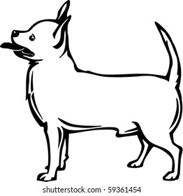 Chihuahua Vector Illustration