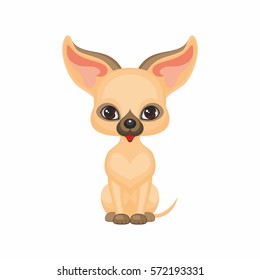 Chihuahua. Vector image of a cute purebred dogs in cartoon style.