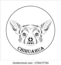 
logotipo vectorial chihuahua en fondo blanco