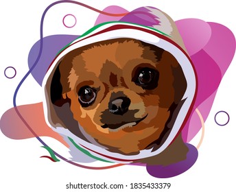 Chihuahua. Vector. Portrait of a dog against a bright popular gradient background