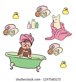 Chihuahua and Yorkshire terrier are taking a bath. Puppies bathe. Cosmetics for dogs, towels and yellow duck. Dog grooming and grooming. Illustration for children.