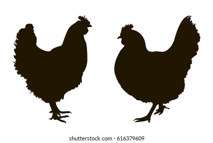  Chiken silhouettes on the white background