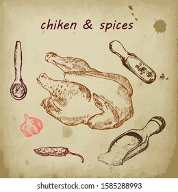 Chiken and spices hand drawn sketch vector vintage illustration. Barbeque poultry chiken on old paper menu poster design.