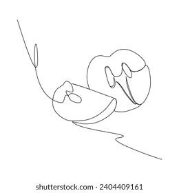 Chikoo fruit continuous line drawing. Vector illustration for food and natural concept and design element