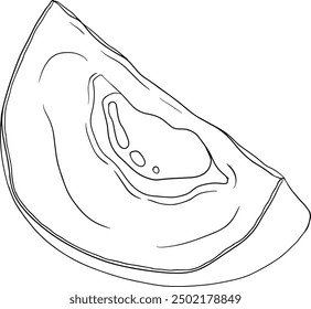 Elementos Chiku. Sapodilla naseberry pouteria línea de frutas. Vector Diseño botánico de fruta tropical exótica