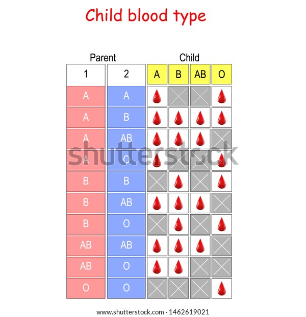 Blood Type Chart Based On Parents