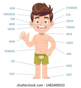 Child body parts. Boy with eye, nose and mouth, hair, ear and callouts with english words cartoon preschool education vector human bodies health anatomy diagram