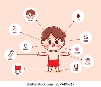 Child boy body part human biology organ poster hand drawn cartoon art illustration
