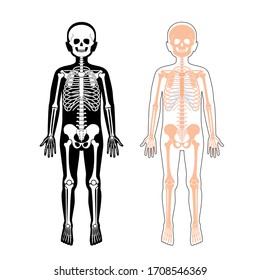 Kinderskelettanatomie im vorderen Blick. Vektorillustration einzeln flache Abbildung von Schädel und Knochen im menschlichen Körper. Halloween-, Medizin-, Bildungs- oder Wissenschaftsbanner
