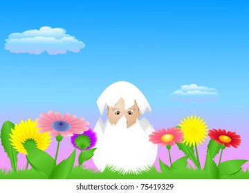 The child in the cracked eggshell located in a meadow with flowers