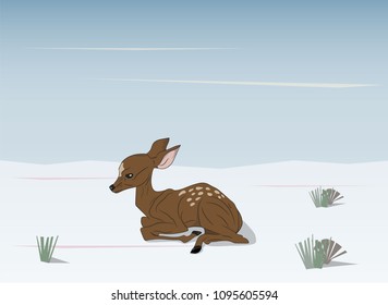 child deer lying, vector, outdoors