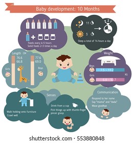 Child development infographics. Baby Growth Guide. Age 10 months.