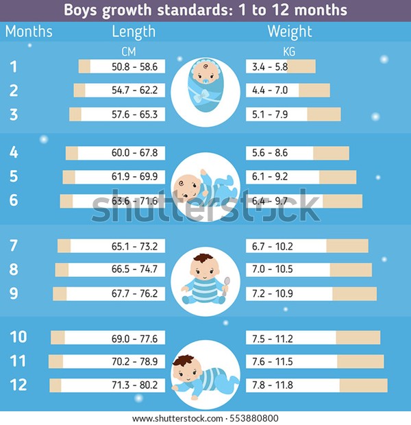 Child Development Infographics Boys Growth Standards Stock Vector ...