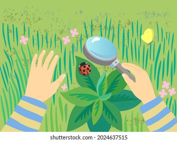 Child examines a ladybug through a magnifying glass in the green grass. First-person view. Conceptual illustration with copy space