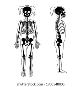 Child girl skeleton anatomy in front, profile and back view. Vector isolated flat illustration of skull and bones in human kid body. Halloween, medical, educational or science banner
