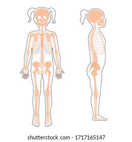 Child girl skeleton anatomy in front, profile and back view. Vector isolated flat illustration of skull and bones in human kid body. Halloween, medical, educational or science banner
