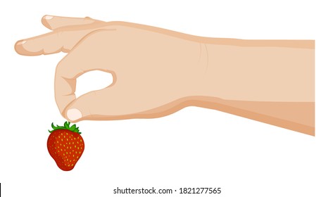 child hand holds a strawberry. Summer berries, ripe juicy fruts. Cooking desserts. Cartoon vector on white background