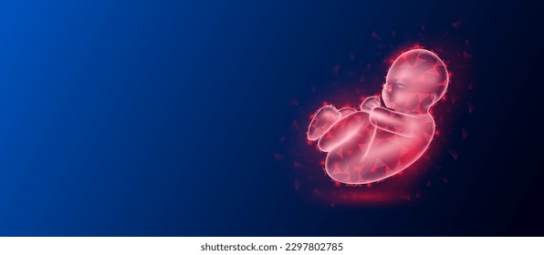 Child infant red translucent low poly triangles on dark blue background with space for text. Organ anatomy baby futuristic glowing hologram. Medical and science concept. Banner design vector.