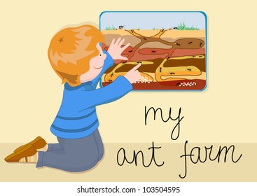 the child with interest watching the ants in a transparent ant farm