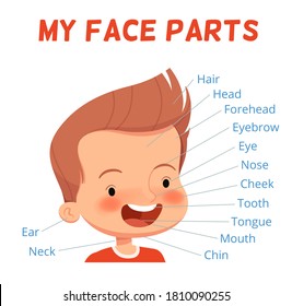 Child learning poster. Parts of the boy's face with signed names. Examining body parts