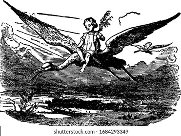 A child riding on back of stork bird, vintage line drawing or engraving illustration