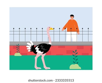 Child visitor looking at an ostrich, from outside its enclosure, zoo illustration.