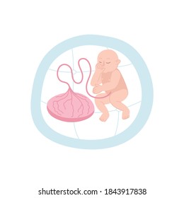 Childbirth motherhood flat composition with inner view of utero with fetus and placenta images vector illustration