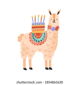 Childish cute lama standing with celebratory birthday cake on back. Funny alpaca celebrating holiday. Flat vector cartoon textured illustration isolated on white background