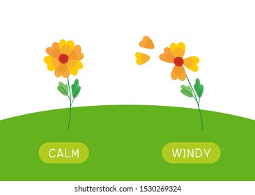 Childish educational word card with antonyms template. Flashcard for english language studying. Opposites, weather concept, calm and windy. Still and swaying flowers flat illustration with typography