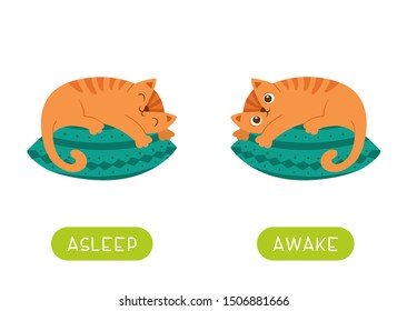 Childish Flash Card With Antonyms Vector Template. Opposites Concept, Asleep And Awake. Educational English Language Word Cards. Cute Ginger Cat Lying On Pillow Flat Illustration With Typography