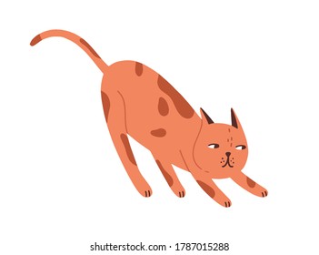 Childish, hunting, playful cat portrait. Cute, funny, spying pet, red spotted kitten. Character for t shirt print. Domestic animal. Flat vector cartoon illustration isolated on white background