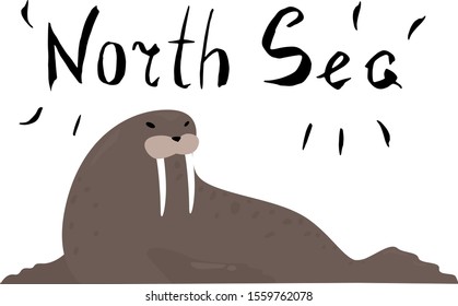 Childish illustration of a brown walrus with large fangs. The walrus lazily rests, lying on white ice. Art in Flat, Scandinavian, childish style with a calligraphic inscription "North Sea".