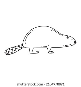 Childish illustration of cute beaver isolated on white background. Forest beaver hand drawn in doodle style. Vector illustration