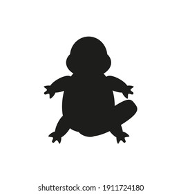 childish illustration of platypus on white background