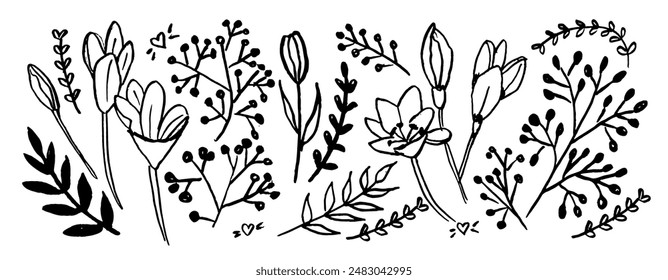 Childish style simple black flowers lilly with leaves. Charcoal drawing flowers.  Botanical motif ornament lilly. 