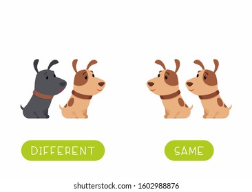 Childish word card with animals vector template. Educational flash card for english language. Opposites, diversity concept, same and different. Cute little puppies flat illustration with typography